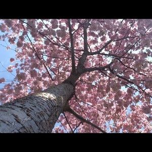 Meet your Posher, Bobbi